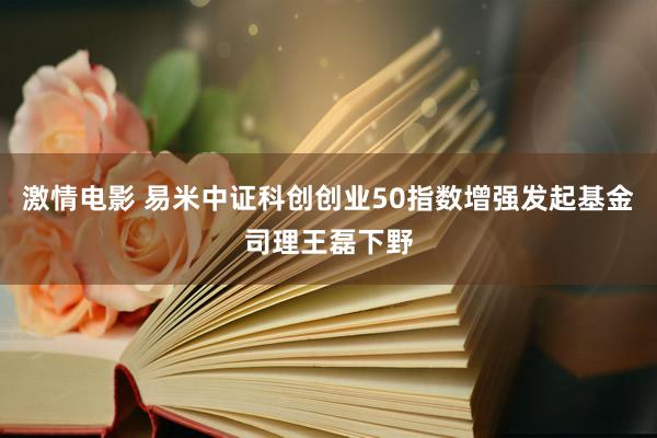 激情电影 易米中证科创创业50指数增强发起基金司理王磊下野
