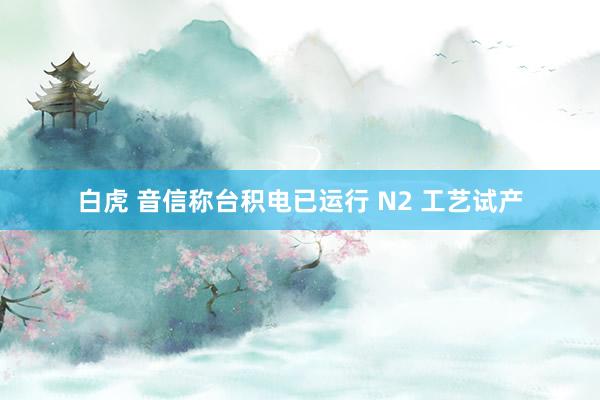 白虎 音信称台积电已运行 N2 工艺试产