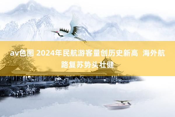 av色图 2024年民航游客量创历史新高  海外航路复苏势头壮健