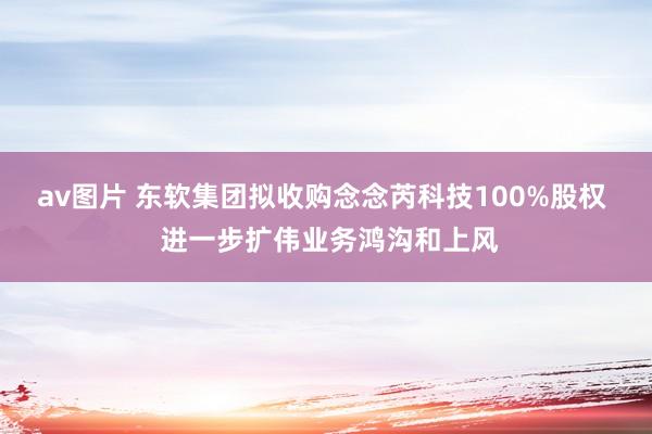 av图片 东软集团拟收购念念芮科技100%股权  进一步扩伟业务鸿沟和上风