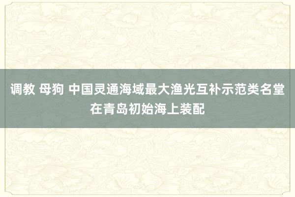 调教 母狗 中国灵通海域最大渔光互补示范类名堂在青岛初始海上装配