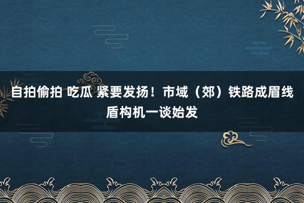 自拍偷拍 吃瓜 紧要发扬！市域（郊）铁路成眉线盾构机一谈始发