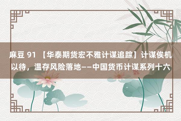 麻豆 91 【华泰期货宏不雅计谋追踪】计谋俟机以待，温存风险落地——中国货币计谋系列十六