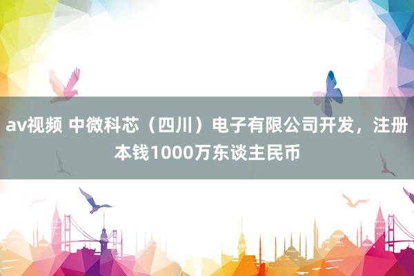 av视频 中微科芯（四川）电子有限公司开发，注册本钱1000万东谈主民币