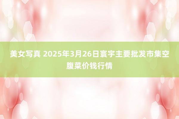 美女写真 2025年3月26日寰宇主要批发市集空腹菜价钱行情