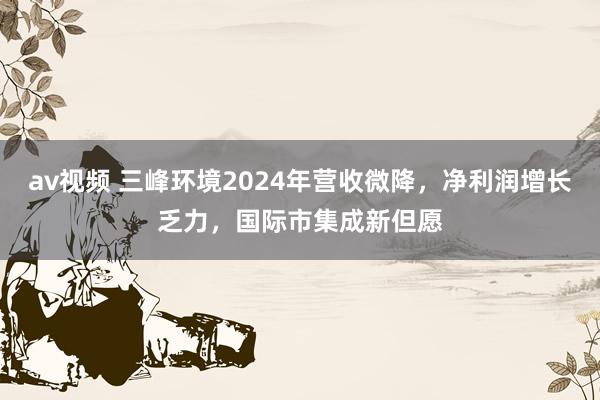 av视频 三峰环境2024年营收微降，净利润增长乏力，国际市集成新但愿