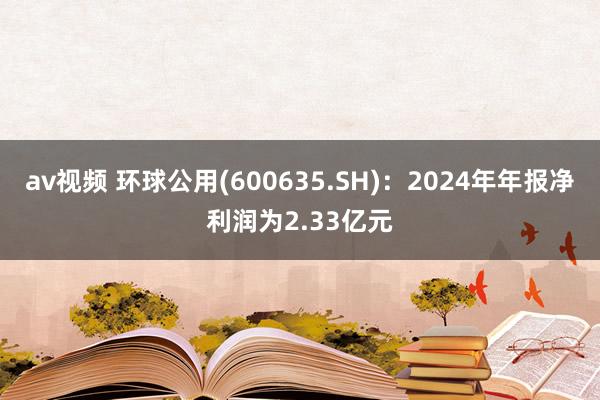 av视频 环球公用(600635.SH)：2024年年报净利润为2.33亿元