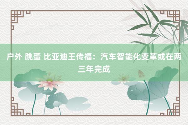 户外 跳蛋 比亚迪王传福：汽车智能化变革或在两三年完成
