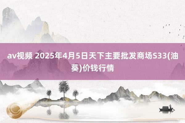 av视频 2025年4月5日天下主要批发商场S33(油葵)价钱行情