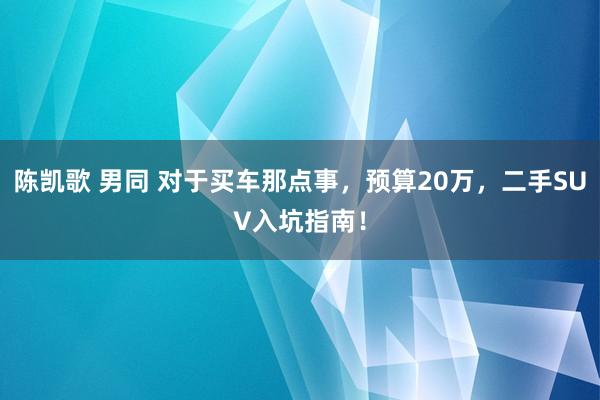 陈凯歌 男同 对于买车那点事，预算20万，二手SUV入坑指南！
