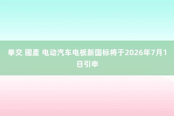 拳交 國產 电动汽车电板新国标将于2026年7月1日引申