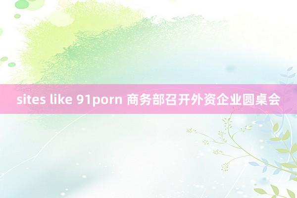 sites like 91porn 商务部召开外资企业圆桌会